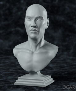 Academic Human bust
