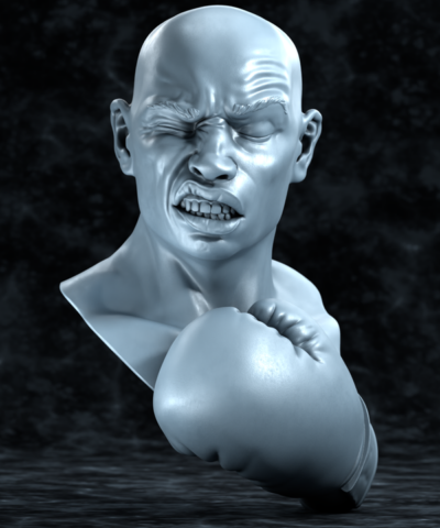 Boxer