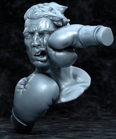 Boxer Punched