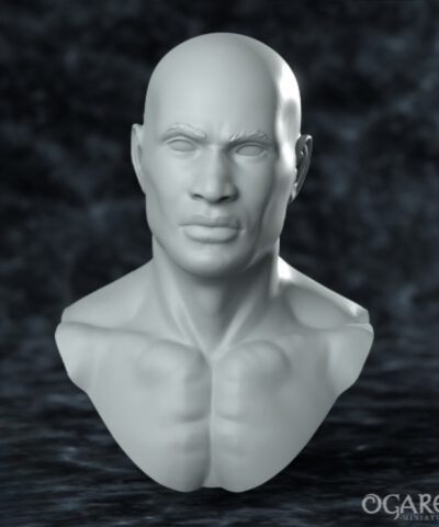 Male Academic Bust