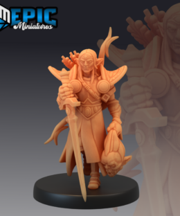 114 Elf Paladin - Player Character (Medium)