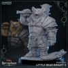 Little Bear Knight