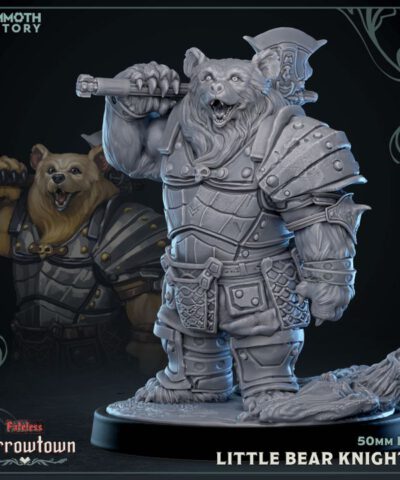 Little Bear Knight