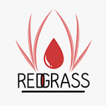 redgrass games