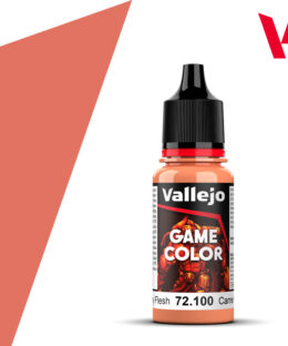 72.100 Rosy Flesh Vallejo Game Color