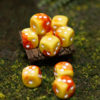 Orange Sunset | Pip Dice