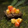 Orange Sunset | Mini Pip Dice