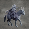 Racoon Ranger Riding some sort of Horse