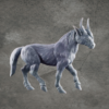 Some sort of Horse