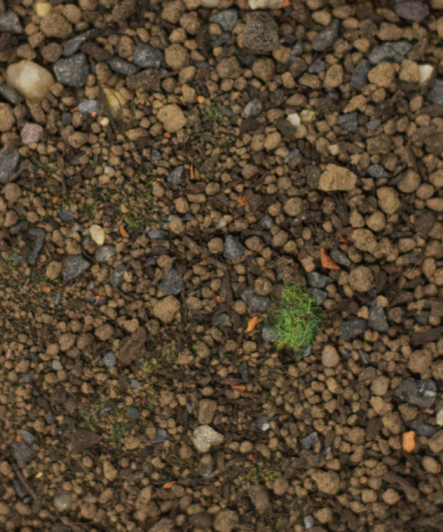 copious earth