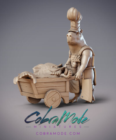 Cavy Pirate Cook Nurma