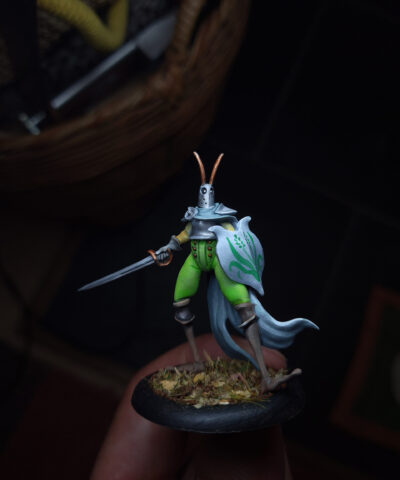 Alternative view of Bug Knights Set part 2