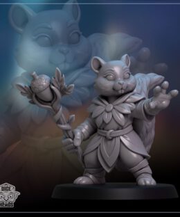Squirrel Druid