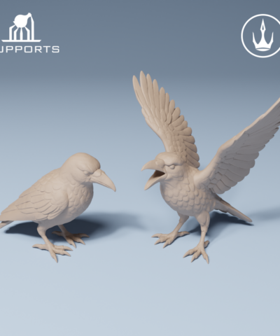 Basing Bits: Crows 10x