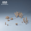 Desert Plants Set 1