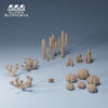 Desert Plants Set 3