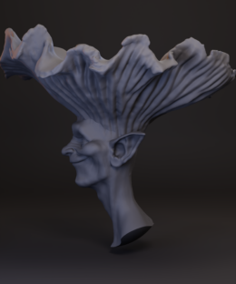 Alternative view of Reborellus