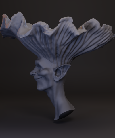 Alternative view of Reborellus