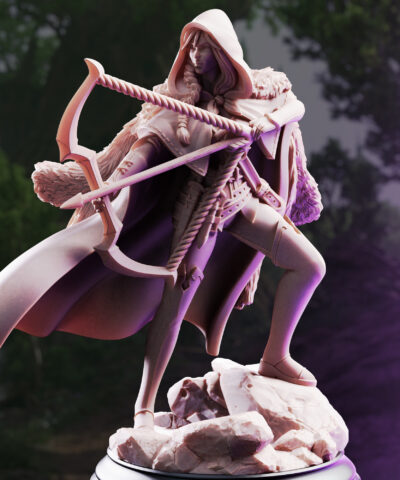 The Crimson Hood - Brigand of the Woods